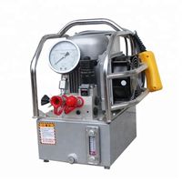 Hot Sale Portable Hydraulic Wrench Pump