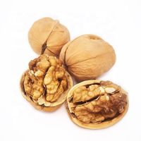 Delicious Snack Chinese Dried Shelled Walnuts / 2023 Walnut Kernel Price Shelled Walnuts