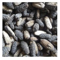 Dried sea cucumber, Vietnamese white teat cucumber, low price, export elephant trunk fish