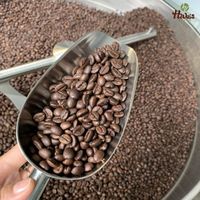 Good Price Roasted Coffee Beans Vietnam Hiva's Coffee 100% Pure Robusta 0.25kg Medium Roast Chocolate OEM FRESH COFFEE Accepted