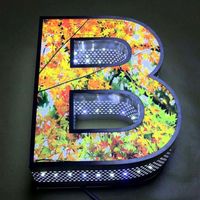 Custom 3D Stainless Steel Advertising Light Effect Luminous Letter Sign Business Sign LED House Number Outdoor Waterproof