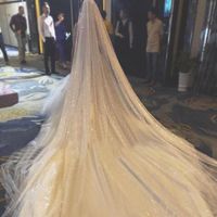 3.5m Elegant Cathedral Girl Veil Long Wedding Dress Sparkle Delicate Soft Tulle with Silver Embellishments Glitter Bridal Veil