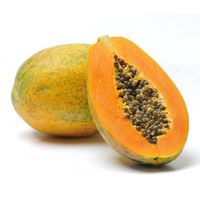 High quality export standard fresh papaya