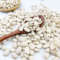 Top Quality Butter Beans/White Kidney Beans Exporting Lima Beans at Lowest Price