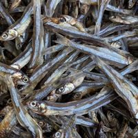 dried anchovies