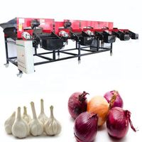 Spanish technology automatic onion and garlic sorting and cleaning machine for sale