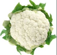 2021 Export high quality and cheap Chinese natural fresh cauliflower