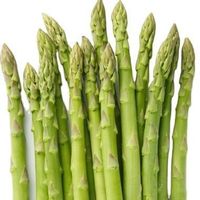 Supplier High Quality Fresh Best Cheapest Price Frozen Asparagus