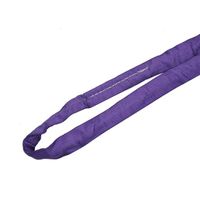Popular 100% polyester 1 ton 1 meter purple round sling