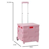 SN4001 Portable shopping trolley 37*34*95.5cm Folding trolley with telescopic handle