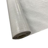 ice and water shield or peel and stick synthetic underlay