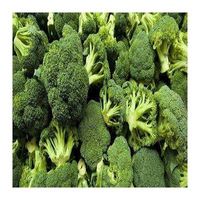 Wholesale Organic Vegetables 2021 New Crop Fresh Organic Romaine Broccoli