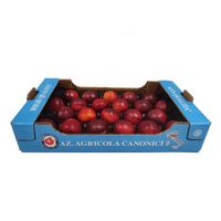 Fresh Italian Nectarines from Emilia Romagna, full colour, size A, 50x30 tier box, Azienda Agricola Canonici Premium