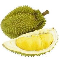 Frozen Moon Red Natural Vietnamese Durian Grade 1 Fresh 18kg ISO Certified GMO Planted