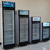 Commercial Beverage Refrigeration Equipment Ice Cream Deep Display Glass Door Refrigerator