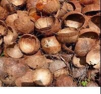 Shredded Coconut Husk – raw material