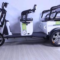 EEC Trike 3 Wheels Electric Tricycle 500W 1000W Four Persons Tricycle