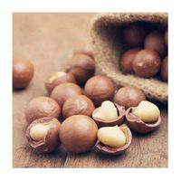 Low price macadamia nut shells in Vietnam (Miss Li: +84987731263)