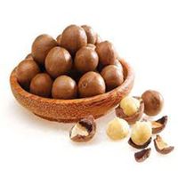 Wholesale Macadamia Nuts Best Price High Quality +84 845 639 639