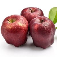 exporters of fresh apples Huaniu apples with fresh and delicious fruits of high quality