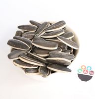 5009.601.363.361 3683 3939 1121 Sunflower kernel black striped sunflower seed raw material