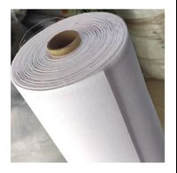 Coated PA Woven Fusible Interlining Woven Fusible Interlining
