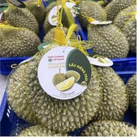 Frozen Durian High Quality 2022/ Vietnam High Quality Frozen Durian