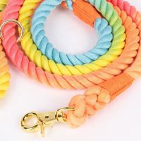 Custom Outdoor Walking Training Colorful 150cm Cotton Pet Dog Leash Round Leash with Gold Swivel Hook