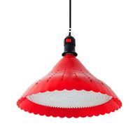 New LED fresh-keeping lamp/fruit lamp/vegetable/meat lamp fresh-keeping lamp