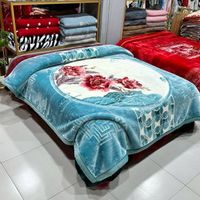 2023 New Premium Korean Style Clouds Bed Blanket 5kg 200x230 Flower Embossed 2 Ply Mink Raschel Blanket