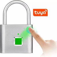 Fingerprint Keyless Lock Waterproof APP Tuya Smart Life Wireless Control Smart Hair