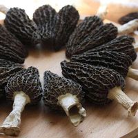 Black Mushroom Morel Manufacturer Price Price Mushroom Wild Dried Morel