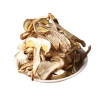 Detan Dried Wild Boletus Sliced ​​2023 Newly Processed, Best Quality