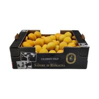 Italian fresh apricots, size 60-65, 5kg celebrity fruit bulk box, yellow or red rind