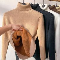 Winter turtleneck sweater for women, warm fleece lined knitted pullover, Korean style fashionable velvet basic slim fit knitted sweater top