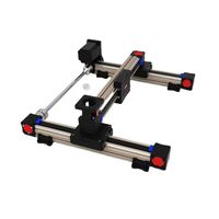 6KG 6KG Synchronous Belt Custom Motion Linear Load CNC Linear Robot Multi-Axis