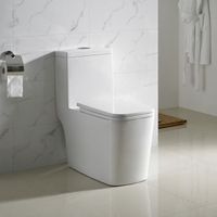 2021 Hot Selling White Ceramic Toilet Water Saving Big Impact