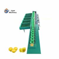 Professional onion grading avocado pitaya weighing citrus sorting machine