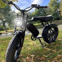 OUXI V8 electric bike in stock in EU and US warehouse 1000w 20-inch fat tire electric bike 250w urban electric bike 25 km/h adult fat tire bike