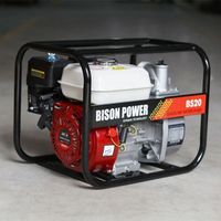 BISON power 2 inch 3 inch 4 inch gasoline engine high pressure water pump