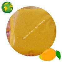Frozen Mango Puree - High Quality and Competitive Price - The Best Selling Fruit Puree of the Season