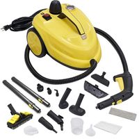 2000 Watt Multipurpose Household Steam Engine Cleaning Machine Car Carpet Floor Electric Handheld High Pressure Portable Steam Cleaning Machine