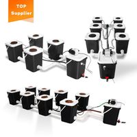 SunPlus New Deep Water Culture 5 Gallon 4 6 8 10 12 In-Situ Bubble Flow Buckets Hydroponic Grow System Kits DWC RDWC