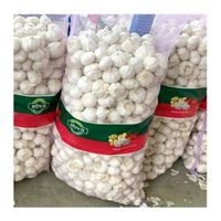 Garlic China Fresh Pure White Garlic Wholesale Fresh Vegetables 20kg Mesh Bag/Carton Factory Price Fresh White Garlic