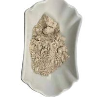 Washed kaolin clay