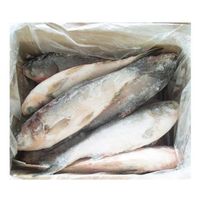 Chinese Frozen Asian Fresh Fish Carp