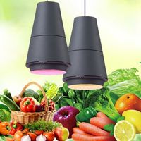 Aquatic cooked food chandelier lamp fruit 25w special lamp 85-265V Led supermarket vegetable fresh pork lamp