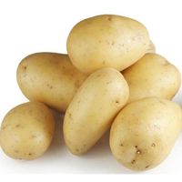 Potatoes/fresh potatoes/fresh vegetables exported at low prices