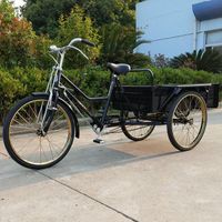 Hot selling cargo tricycle adult tricycle 20 inch tricycle 12 speed pedal tricycle