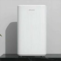 2023 Popular New Product Customized Color 10 Liter Dehumidifier Portable Smart Air Dryer Home Mini Dehumidifier